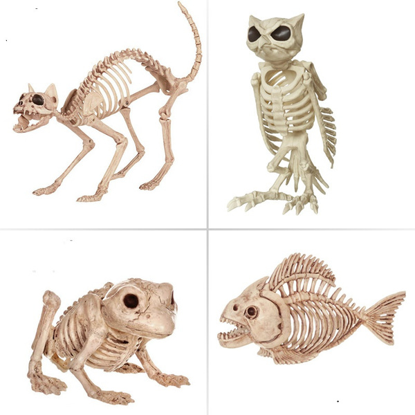 Hot sale Skeleton Animal 100% Plastic Animal Skeleton Bones for Horror  Halloween Decoration Simulation animal Skull 4 kinds available | Wish