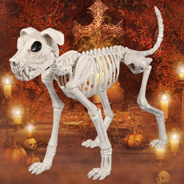 Hot sale fashion style Skeleton Big Size Dog 100% Plastic Animal Skeleton Bones for Horror Halloween Decoration Gift Box | Wish Hot sale fashion style Skeleton Big Size Dog 100% Plastic Animal Skeleton Bones for Horror Halloween Decoration Gift Box | Wish