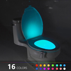 Toilet seat light