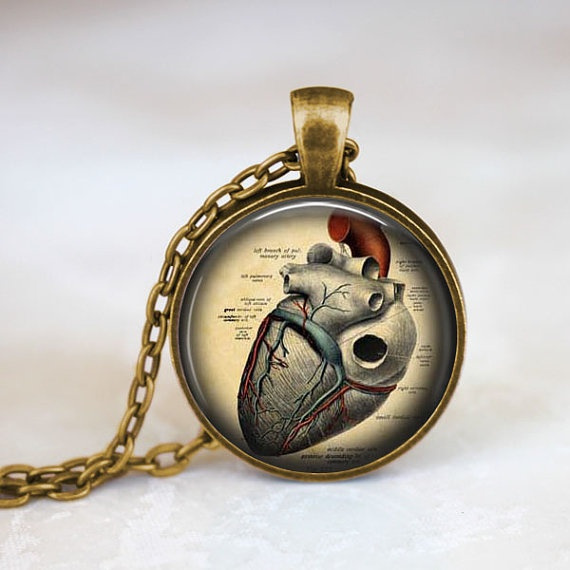 Anatomical Heart Necklace Anatomy Jewelry Pendant Gift For Her Wish - Anatomical Heart Pendant Anatomical Heart Necklace Anatomy Jewelry Pendant Gift For Her Wish - Anatomical Heart Pendant