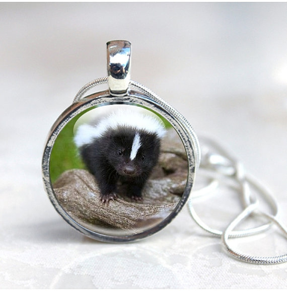 Skunk jewelry on sale