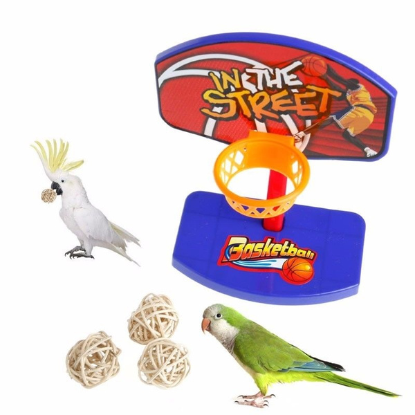 Pet Bird Toys Chew Parakeet Parrot Basketball Hoop PropTrick Prop 3pcs Balls 