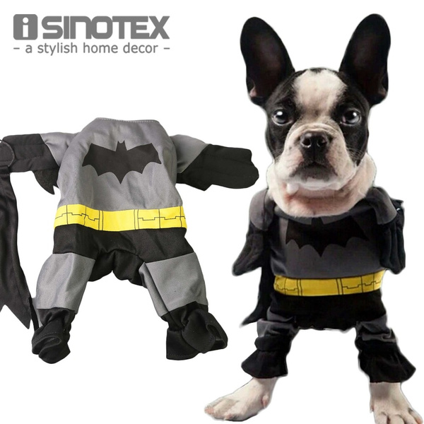 batman dog coat
