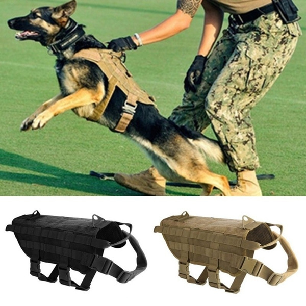 dog training clothes