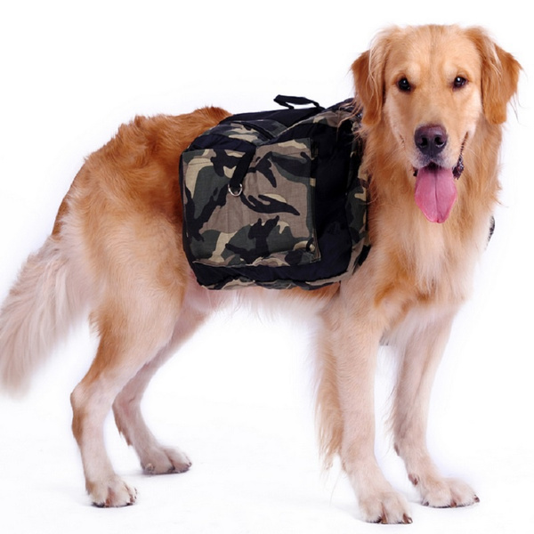 big dog carrier backpack