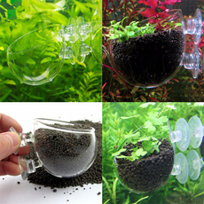 Aquatic Plant Glass Cup Pot for Aquarium Aquascaping Fish Tank Crystal Holder New