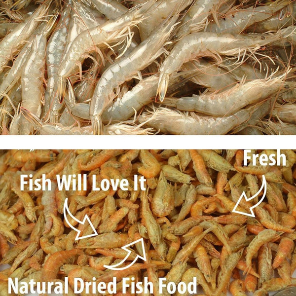 1200ml Aquarium Fish Food Shrimp Krill Freeze Dried Carnivore Tropical  Cichlid Turtle