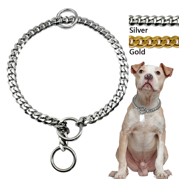 dog show collars chain