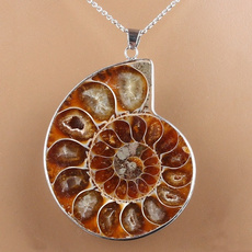 ammonite, Natural, Jewelry, Chain