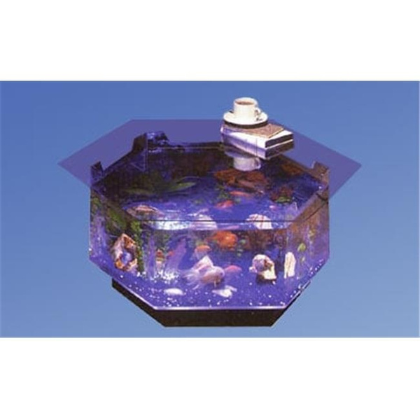 octagon aquarium