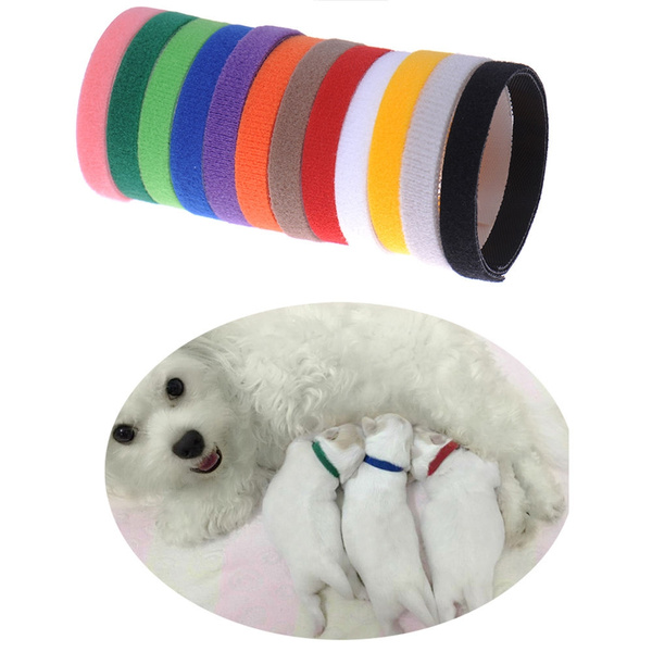 litterbands