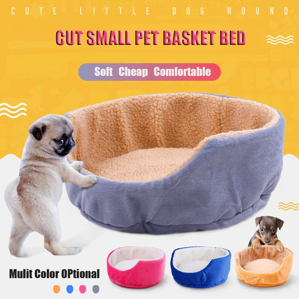 cheap small dog beds