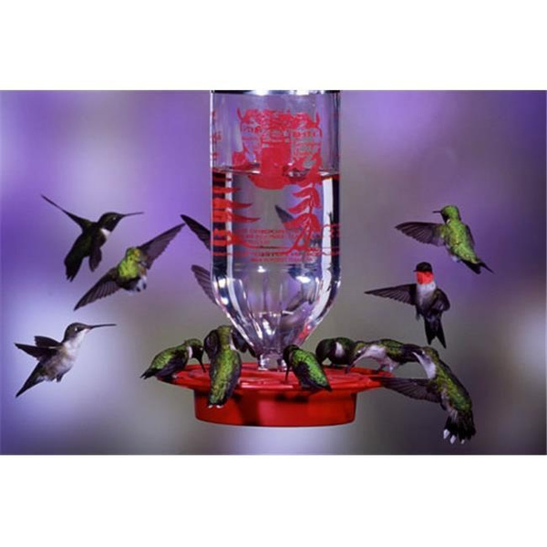 Best1 BEST32 32 oz Original Hummingbird Feeder Wish