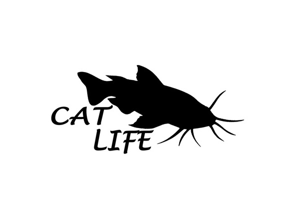 Vinyl Decal Sticker Cat Life Catfish Fishing Car Truck Bumper Window Fun 7" 