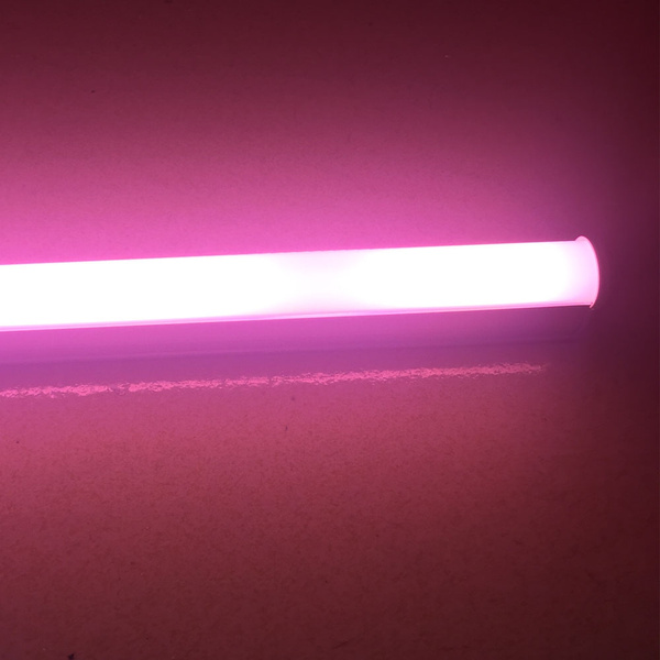 pink led tube light