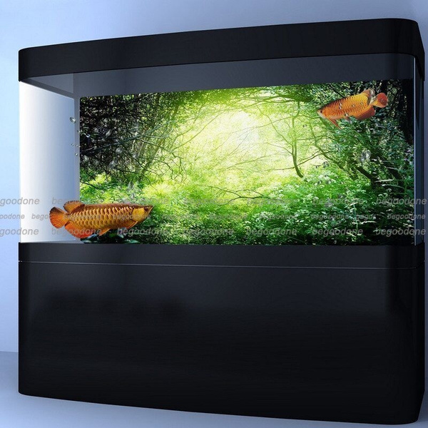 wish fish tank