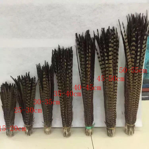5-100 pcs natural pheasant tail feathers 10-22 inches 25-55 cm Wholesale 