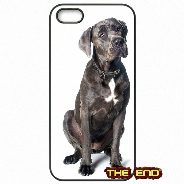 Italian dogs Cane Corso italian mastiff cell phone cases cover for Apple iPhone 4 4s, iPhone 5 5s se, iPhone 5c,iPhone 6 6s Plus,iPhone 7 Plus,iPod ...
