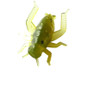 thumbnail - 4
