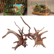 Plants, Tank, driftwood, Tree