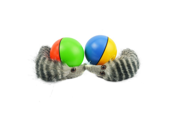 taxiner Hot Lovely Pet Dog Weasel Motorized Rolling Ball Appears Jump  Moving Alive Toy