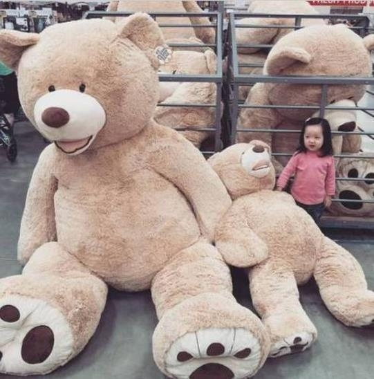 200cm bear store