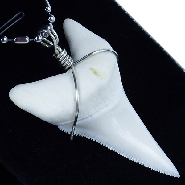 SHARK Necklace Bronze Great White Shark & Real Tooth 18"-33" Cord Real Teeth NEW 