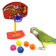 toyball, birdstoy, Toy, Sports & Outdoors