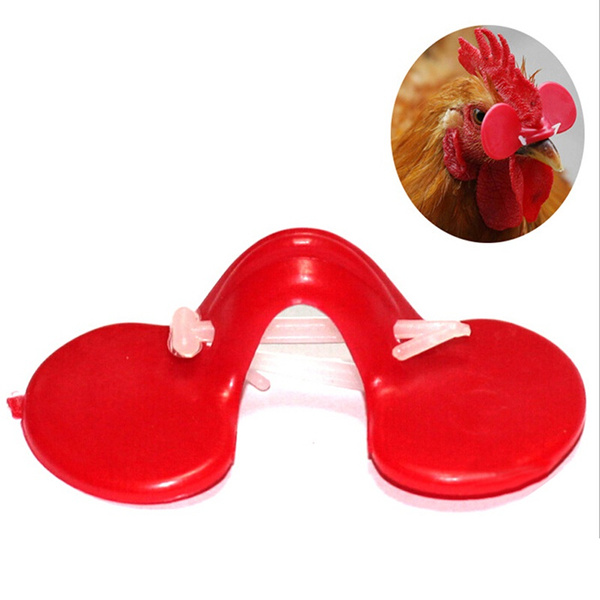 10pcs Chicken Eyes Glasses Avoid Hen peck each other chicken farm 55mm 