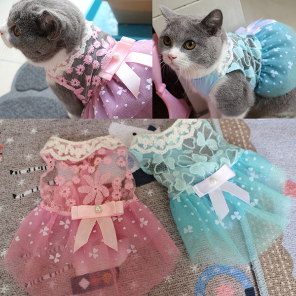 luxury cat clothes