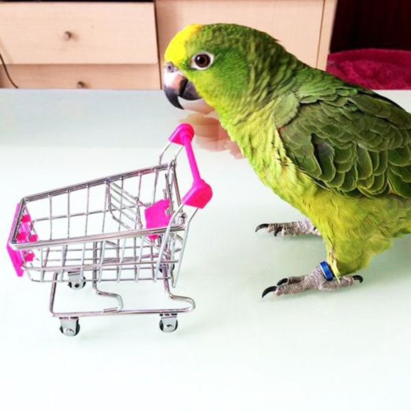 US Parrot Bird MINI Supermarket Shopping Cart Kids Toy Intelligence Growth Toy 