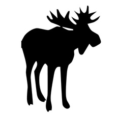 moose, Jewelry, Cars, Stickers