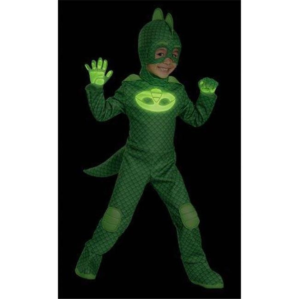 PJ Masks Costumes & Accessories