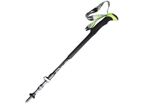 pioneer walking sticks