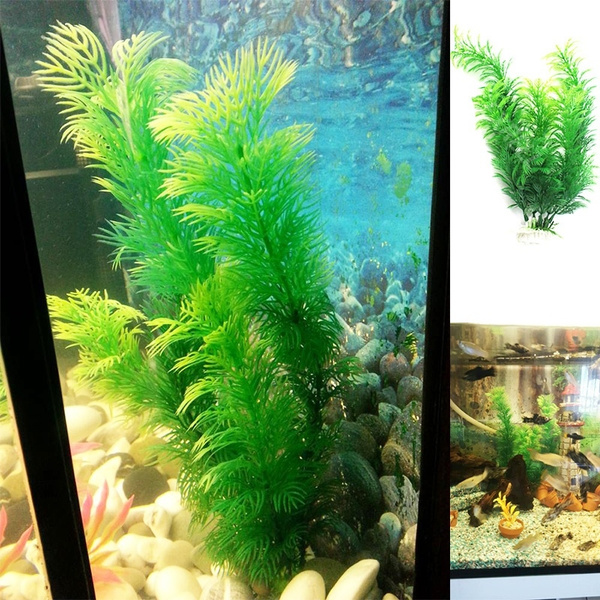 pet fish accessories