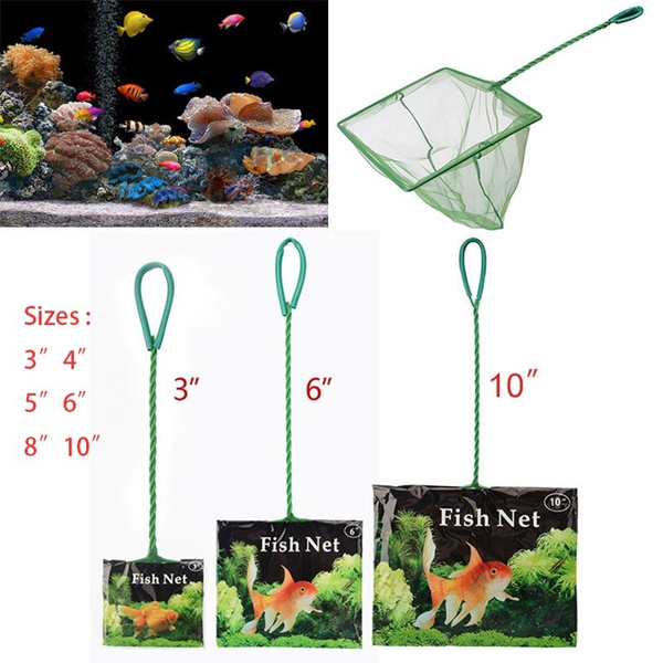 tropical fish net