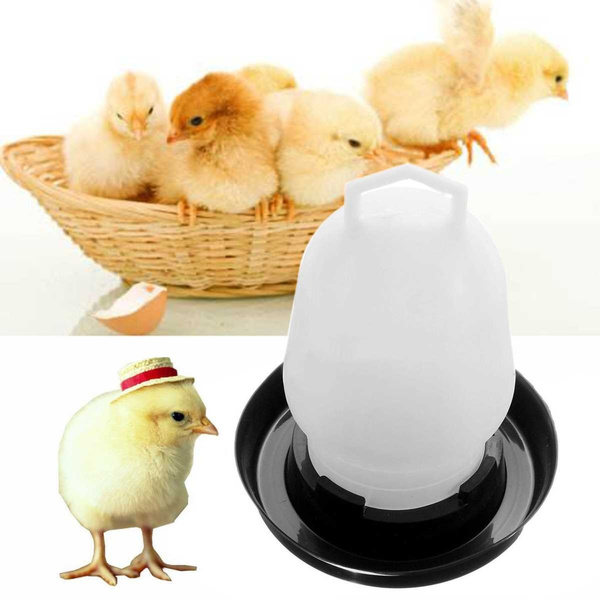 Automatic Pet Feeder Chicken Quail Poultry Bird Pheasant Feed Water Tool 30_dr 