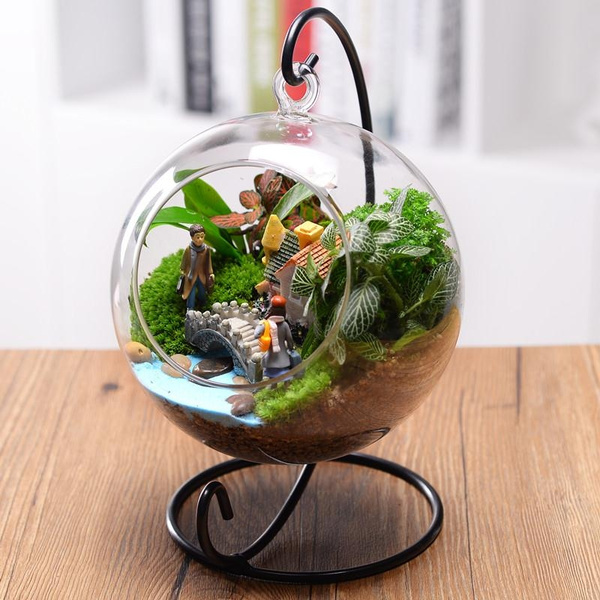 Beautiful Clear Round Glass Vase, Large Round Glass Terrarium With Lid