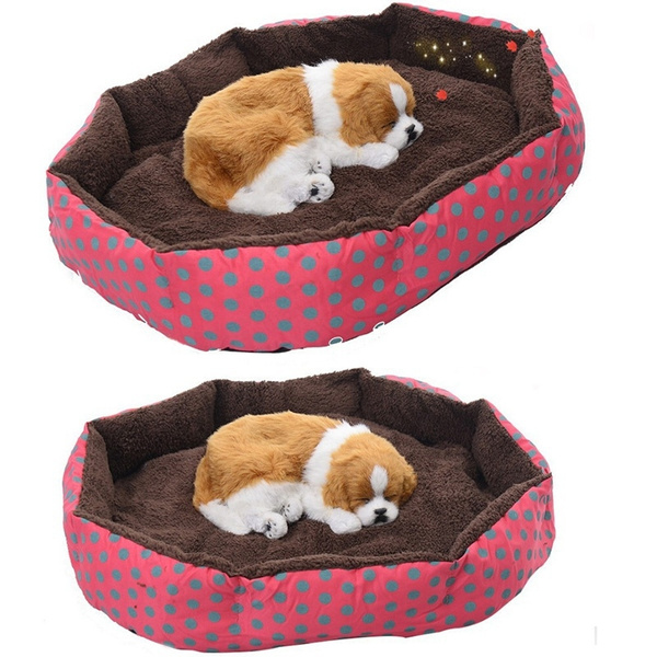 cheap kitten beds