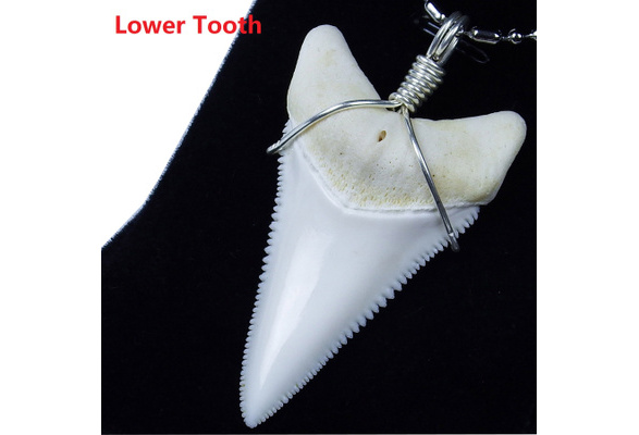 real great white shark TOOTH necklace 1.06 inch #040416 