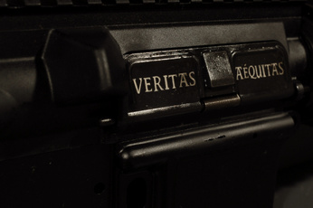 ejectionportcover, ar15, ar15dustcover, ar15dustcoververitasaequita