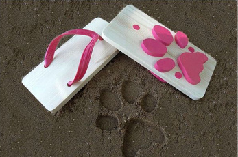 Flip Flops, paw, Slippers, thebeach