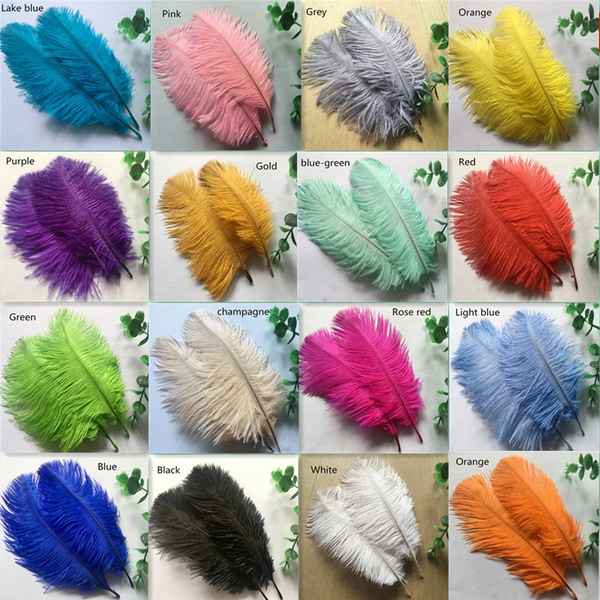 Beautiful 10pcs high quality natural ostrich feathers 6-8 inch