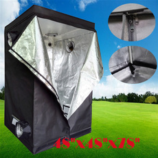 Box, growingtent, Jewelry, Sports & Outdoors