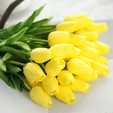 Mini, loversgift, Flowers, Tulips