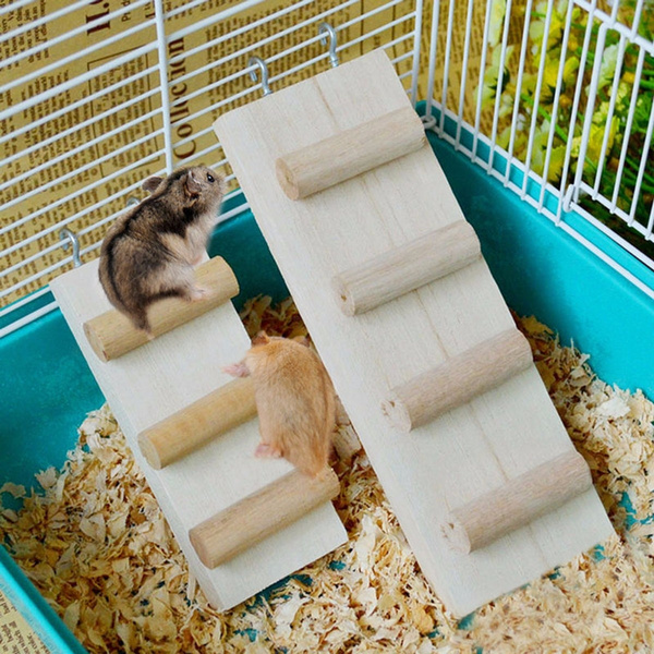 dwarf hamster playground