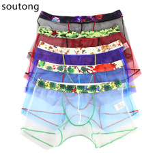 Men Transparent Underwear Boxer Briefs Trunks Shorts Bulge Pouch Soft Breathe Underpants Col Et963