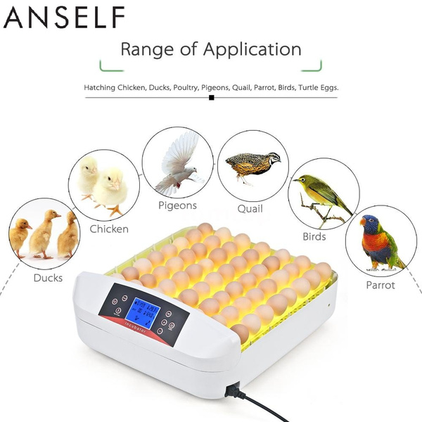 Chicken Brooder Incubators for Hatching Eggs Quail Parrot Duck Bird 98-120 Eggs Hatching Incubator with Led Candler & Automatic Egg Turner & Temperature Control Egg Incubator 