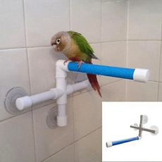 wallsuctioncup, Toy, Parrot, paw