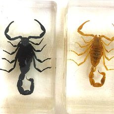paperweight, Chinese, specimen, scorpion